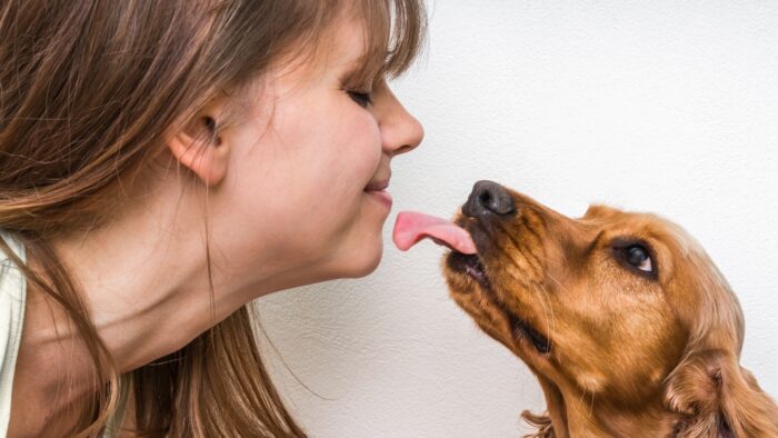dogs lick their owners